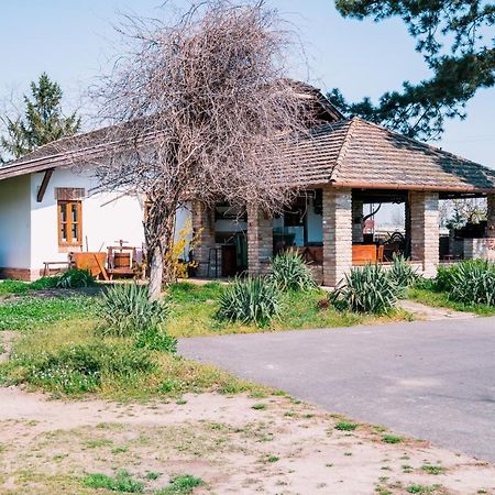 Sun City Vizisport Paradicsom Hódmezővásárhely Extérieur photo